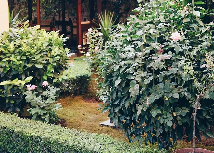 شقة Garden House تيرانا