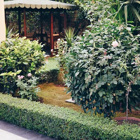 Apartamento Garden House Tirana